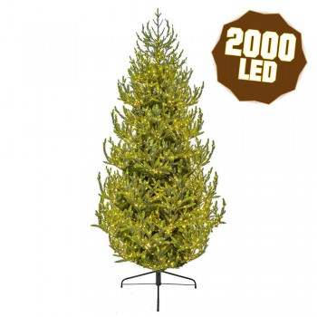 BRAD ARTIFICIAL FAIRY LIGHT - 210cm